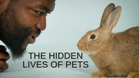 Xem phim Cuộc sống bí mật của thú cưng - The Hidden Lives of Pets (2022)