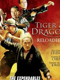 Xem phim Đả Lôi Đài - Tiger and Dragon Reloaded (2010)