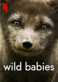 Xem phim Động vật chào đời - Wild Babies (2022)