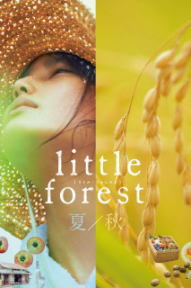 Xem phim Khu Rừng Nhỏ- Hạ/Thu - Little Forest: Summer/Autumn (2014)