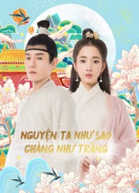 Xem phim Nguyện Ta Như Sao Chàng Như Trăng - Oops！The King is in Love (2020)