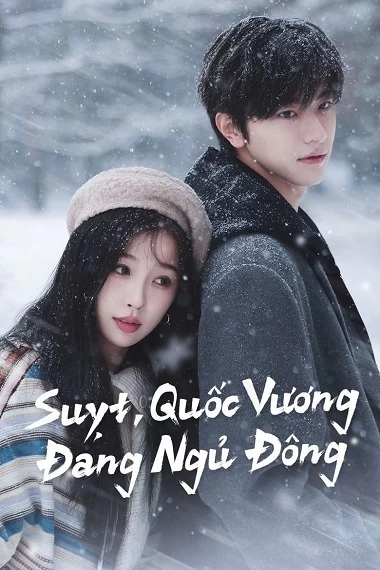 Xem phim Suỵt, Quốc Vương Đang Ngủ Đông - Ski into Love (2025)