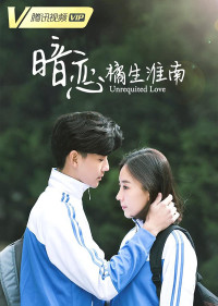 Xem phim Thầm yêu: Quất sinh Hoài Nam - Unrequited Love (2019)