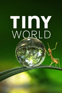 Xem phim Thế Giới Siêu Nhỏ (Phần 1) - Tiny World (Season 1) (2020)