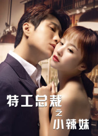 Xem phim Tổng Tài Đặc Công Và Em Gái Sexy - The Special Agent and His Hot Girl (2020)