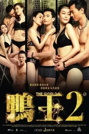 Xem phim Trai Bao 2 - The Gigolo 2 (2016)