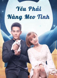 Xem phim Yêu Phải Nàng Meo Tinh - Falling in Love With Cat (2020)